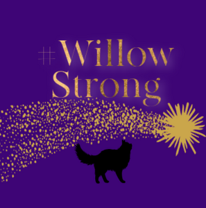 #WillowStrong